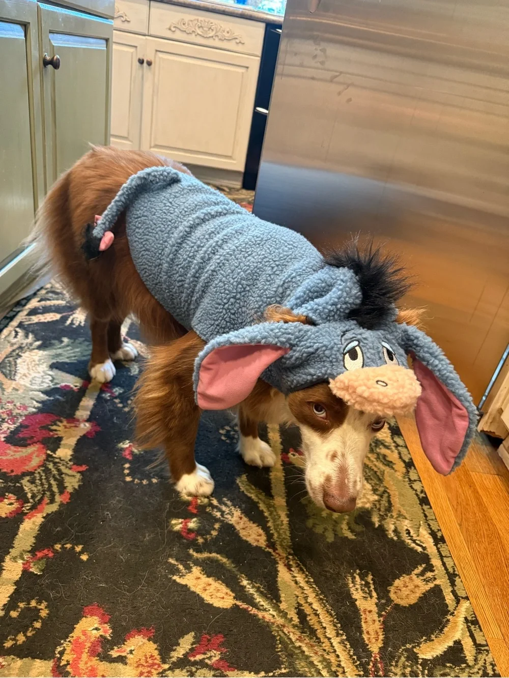 Eeyore Dog Costume with Pink Ears